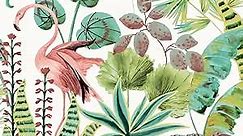 Tempaper Green Flamingo Daydream Removable Peel and Stick Wallpaper, 20.5 in X 16.5 ft, Made in The USA, Cactus Rose