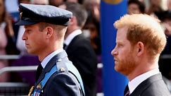 Prince Harry's book drives royals Spare, but will it backfire?