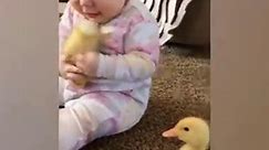 Funniest Baby and Baby Animals Fails - Fun and Fails Baby Video