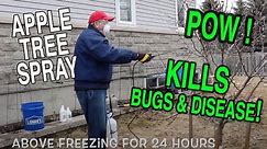 🔴 DORMANT SPRAY FOR APPLE TREES: You will learn when and how to spray your apple tree.