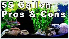 55 Gallon Aquarium Pros and Cons: Should You Buy One?