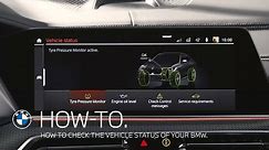 How to check the vehicle status of your BMW – BMW How-To