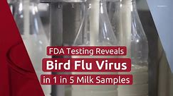 FDA Testing Reveals Bird Flu Virus in 1 in 5 Milk Samples