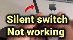 iPhone Silent switch not working : Here is Fix