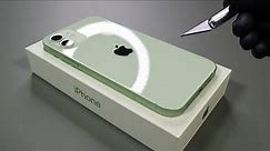 Apple iPhone 12 Green - 1 Minute Unboxing!