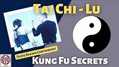 Tai Chi Fighting - Applications of Lu Jin - Taijiquan 太极拳 四正手 掤 履 擠 按