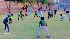 Cricket Fun: Exciting Moments and Viral Videos