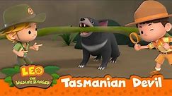 Tasmanian Devil | What's Making That Screeching Noise?!? | Leo the Wildlife Ranger Season 2