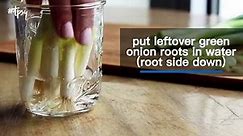 Here's How to Regrow Green Onions in Nothing But Water