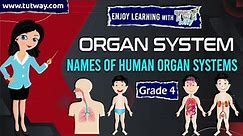 Organ System | External & Internal Body Parts | Human Organ Systems | Science
