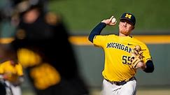 Michigan baseball roundup: Recapping home series against Iowa, analyzing what's next