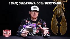1 BAIT, 5 REASONS: Josh Bertrand's Take on the Berkley MaxScent Chigger Craw