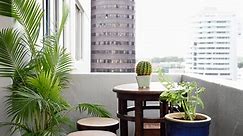 Moving Into Your New Apartment - What to Expect and How to Track Your Property - realestate.com.au