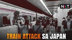 Tokyo 'Joker' train attacker admits to stabbing passenger in 2021
