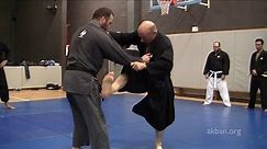 Ninjutsu kicks against MMA and Judo holds - Yossi Sheriff
