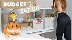 How to Set up a Hamster Cage on a BUDGET 💸