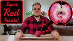 Trying An Amazing Red Fleshed Apple! | Odysso