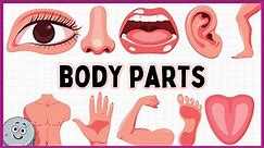 32 Fun Human Body Parts for Kids - Learn Human Body Parts Name with Picture for Children