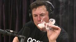 Tesla shares drop after Elon Musk appears to smoke marijuana