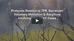 Protocols Relative to TPR, Surrender, Voluntary Mediation & Adoptions Involving RSA 169-C Cases