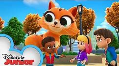 Super-Sized Monster Kitty! | Marvel's Spidey and his Amazing Friends | @disneyjunior