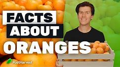 Facts About Oranges