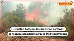 After quake, Syria's northern coast ravaged by wildfires