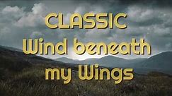 Wind beneath my Wings ( Bette Midler )