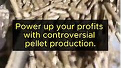 Increase profits with efficient pellet production. #PelletMachine #PelletProduction #EcoProfit