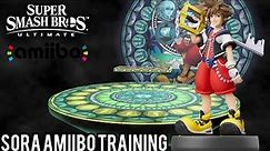 Sora Amiibo Training | Super Smash Bros Ultimate