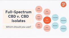 Full spectrum vs CBD isolates | Which Type of CBD is Better?