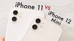 iPhone 12 Mini Vs iPhone 11 CAMERA TEST! (Photo / Video Comparison)