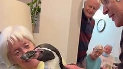 Penguins cheer-up residents at care home with a visit
