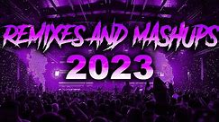DJ Remixes & Mashups of Popular Songs 2023 - DJ Remix Songs Mix | DJ Dance Party Club Music Mix 2024