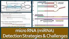 microRNAs (miRNAs): Detection Strategies and Challenges