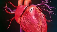 Hartsiekte: wat is kardiomiopatie?