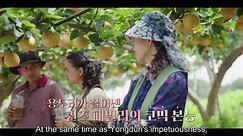 Queen of Tears (2024) Special 1 Episode 16.1 English sub