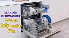 ✨ Leaking Dishwasher - 5 Minute Easy FIX ✨
