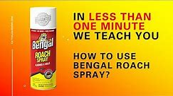 How To Use Bengal Roach Spray? Bengal Roach Spray Review - (Best Roach Killers in 2022)