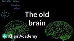 The old brain