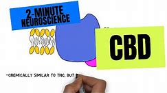 2-Minute Neuroscience: CBD