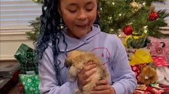 Mom makes daughter glow with priceless delight with a pup-fect Christmas surprise