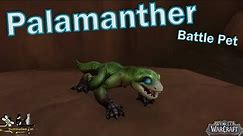 World of Warcraft Battle Pet Guide: Palamanther Location and Abilities!