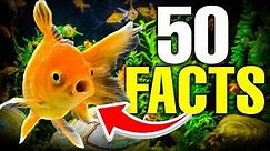 50 Amazing Goldfish FACTS Revealed!