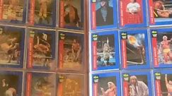 World Wrestling Federation/Entertainment WWF/WWE Vintage Trading Card Binder Unboxing!