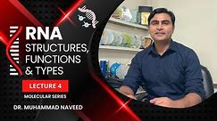 RNA | RNA Structure | RNA Functions | RNA Types | mRNA | | rRNA | tRNA | Lec 4 | Dr. Muhammad Naveed