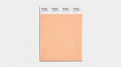 See peach fuzz, Pantone's color of the year for 2024