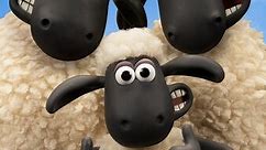 Shaun the Sheep: Season 3 Episode 4 You Missed A Bit