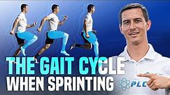 Sprinting Biomechanics Explained By Coach Morey Croson: The Complete Gait Cycle When Sprinting