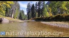 [AMAZING 4K] "Autumn Mountain Stream" Nature Video Screensaver Ultra High Def